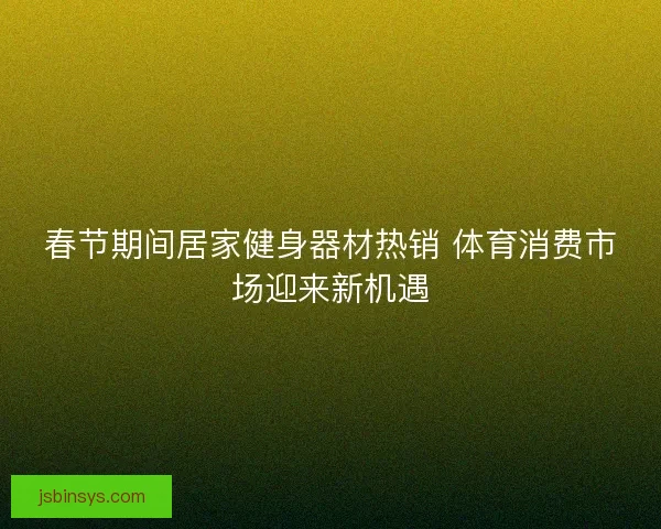 春节期间居家健身器材热销 体育消费市场迎来新机遇