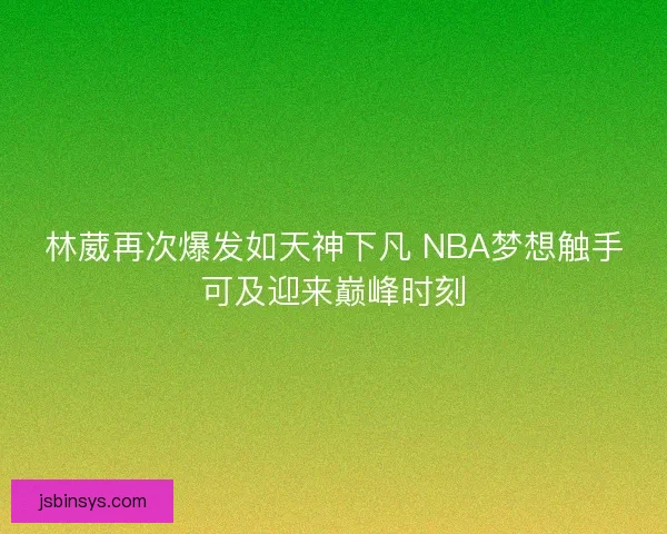 林葳再次爆发如天神下凡 NBA梦想触手可及迎来巅峰时刻 林葳再次爆发如天神下凡 NBA梦想触手可及迎来巅峰时刻